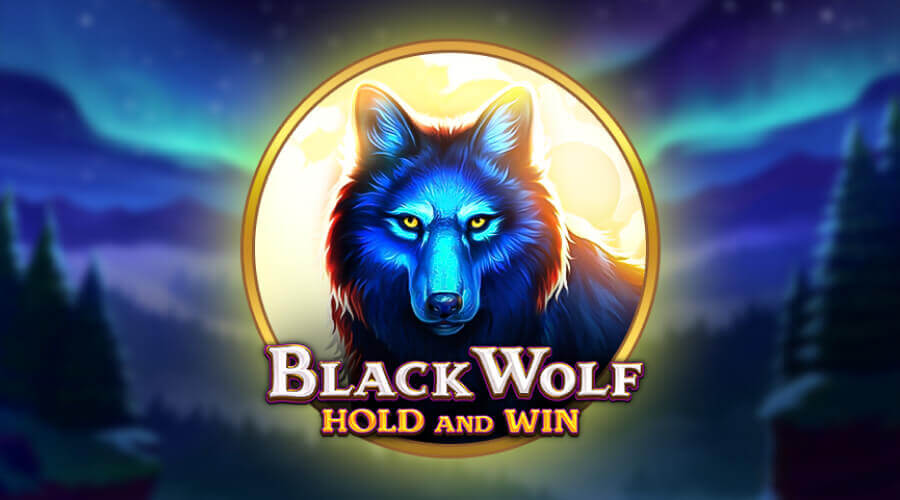 Black Wolf 