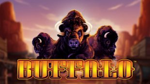 Buffalo