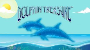 Dolphin Treasure