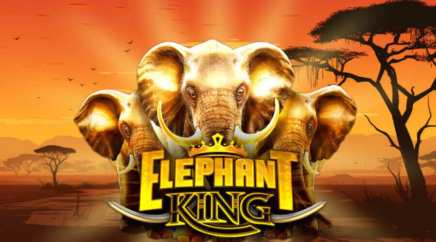 Elephant King 